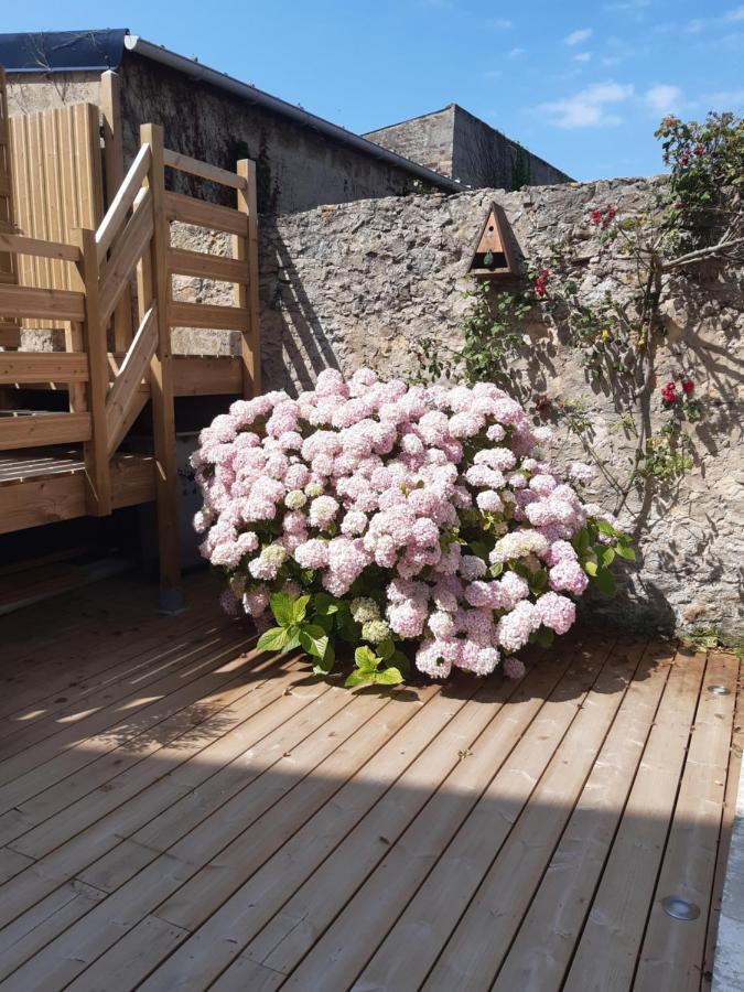 Nature - Gite Entierement Neuf A 100M De La Plage 维姆勒 外观 照片